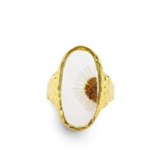 Anello Aperto 'Provence' Luberon Placcato Oro Giallo con Margherita Bianca