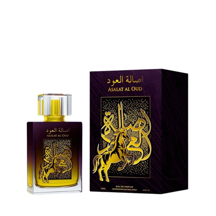 AFAQ Asalat Al Oud | Arabo Ispirato [Memo Paris] African Leather