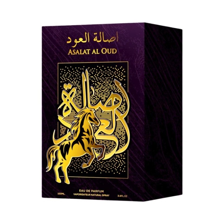 AFAQ Asalat Al Oud | Arabo Ispirato [Memo Paris] African Leather