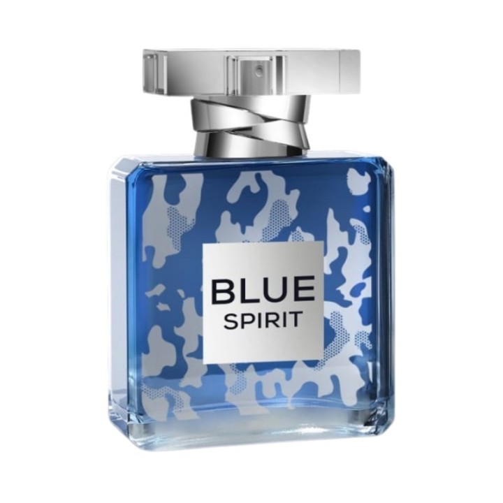 House Of Morais Blue Spirit | DNA Olfattivo [Bleu de Chanel]