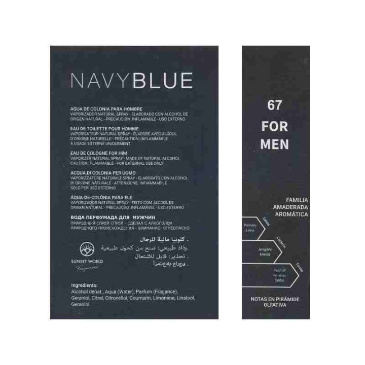 Sunset World NAVY BLUE | DNA Olfattivo [Bleu de Chanel]