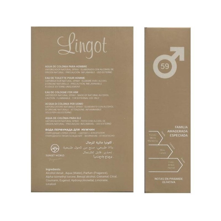 LINGOT | Ispirato a One Million [Paco Rabanne]