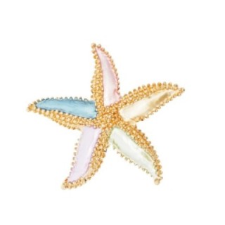 Spilla Bijoux a Calamita Stella Marina Smaltata