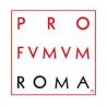 PROFVMVM